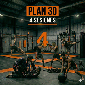 Plan 30 (Sólo Sábados) - Mensual